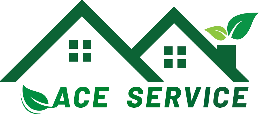 ACE Service